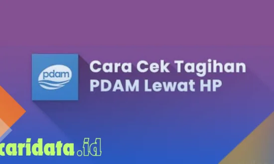 Cara Cek Tagihan Air PDAM Secara Online: Panduan Lengkap dan Interaktif